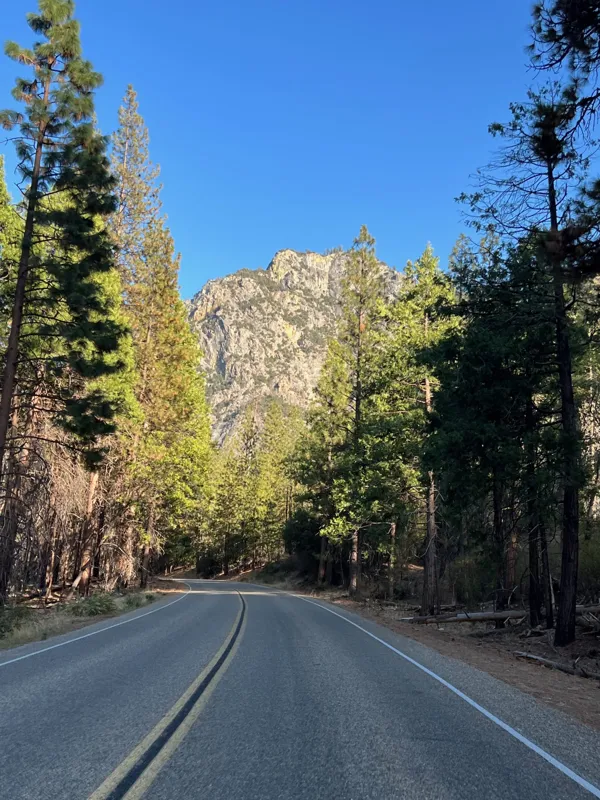 Kings Canyon National Park photo 35