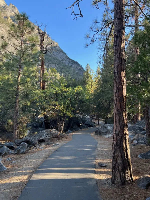 Kings Canyon National Park photo 40