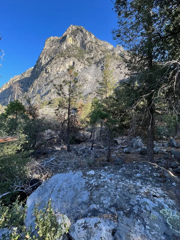 Kings Canyon National Park photo 41