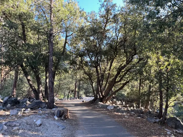 Kings Canyon National Park photo 42