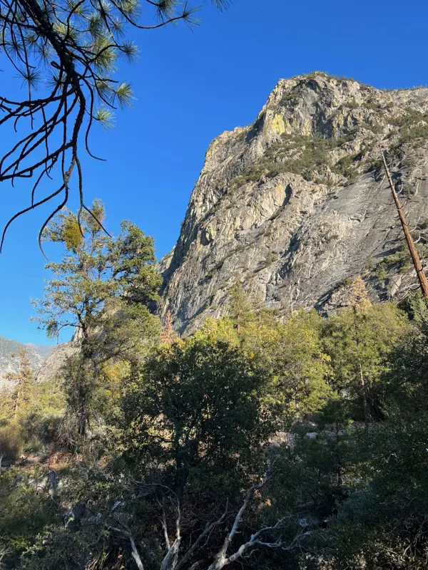 Kings Canyon National Park photo 43