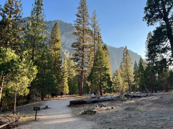 Kings Canyon National Park photo 63