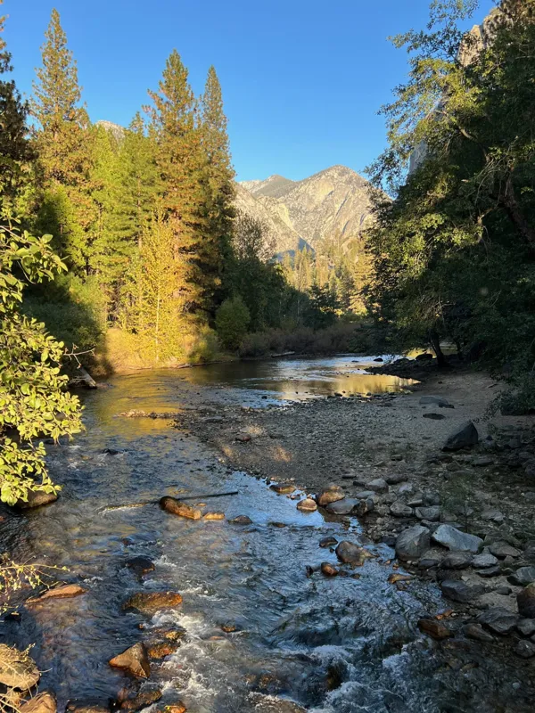 Kings Canyon National Park photo 67
