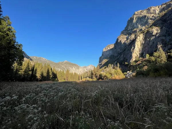 Kings Canyon National Park photo 71