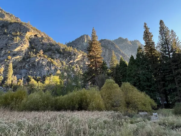 Kings Canyon National Park photo 75