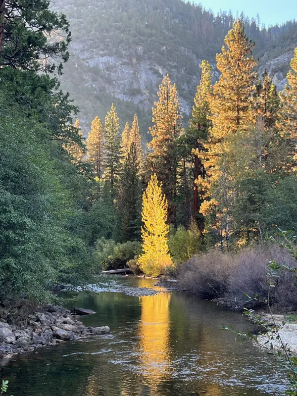 Kings Canyon National Park photo 78