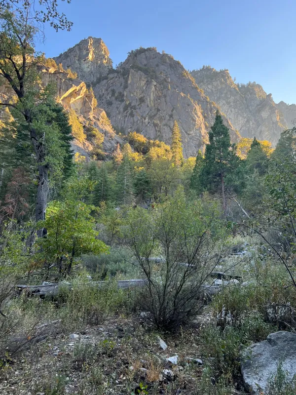 Kings Canyon National Park photo 80