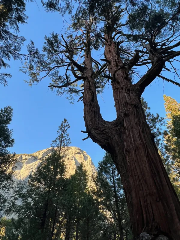 Kings Canyon National Park photo 85