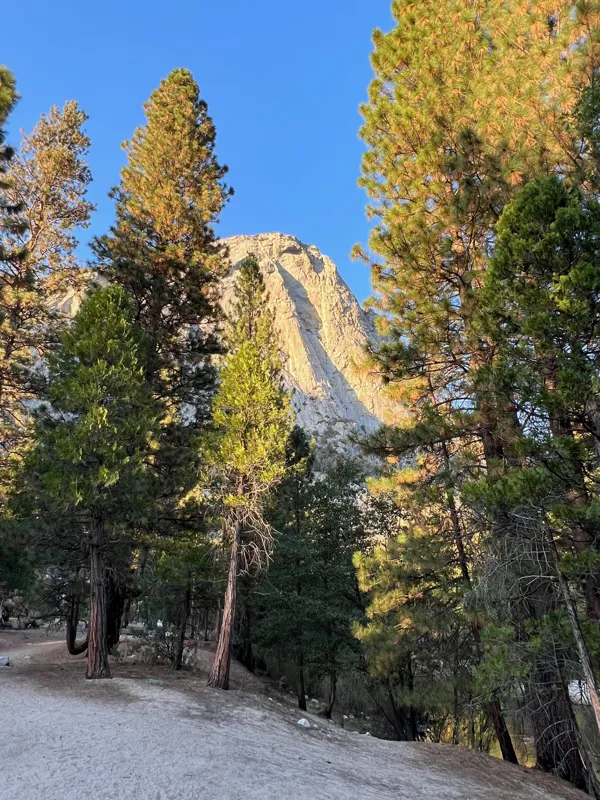 Kings Canyon National Park photo 87