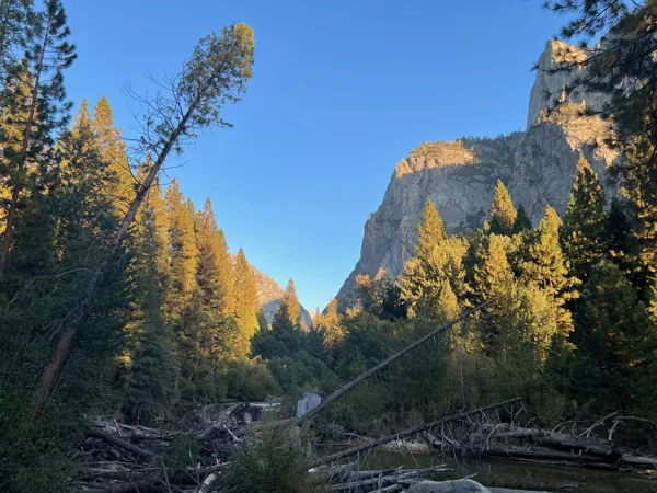 Kings Canyon National Park photo 88