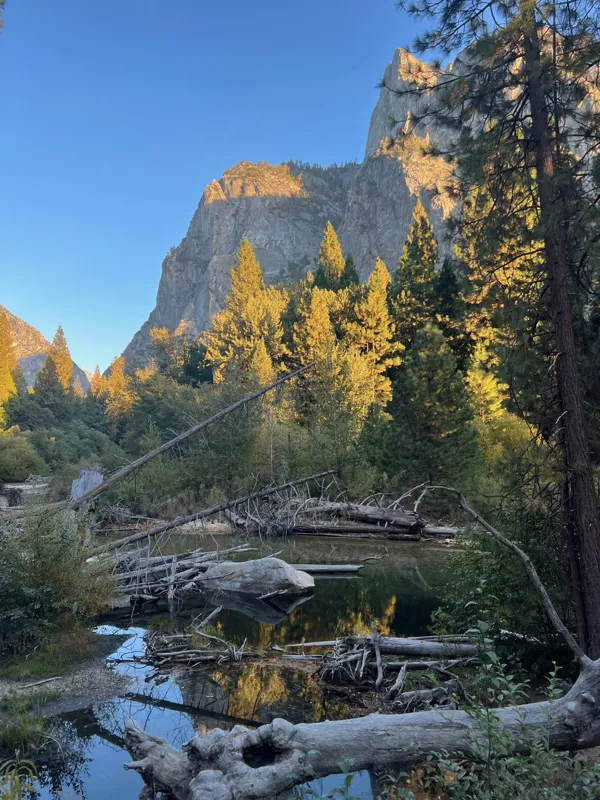 Kings Canyon National Park photo 90