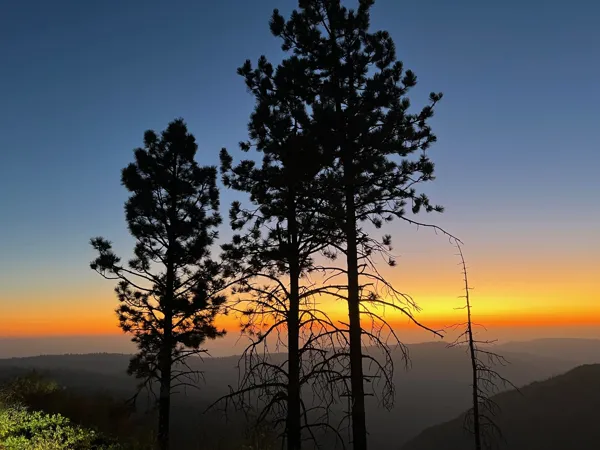 Kings Canyon National Park photo 95