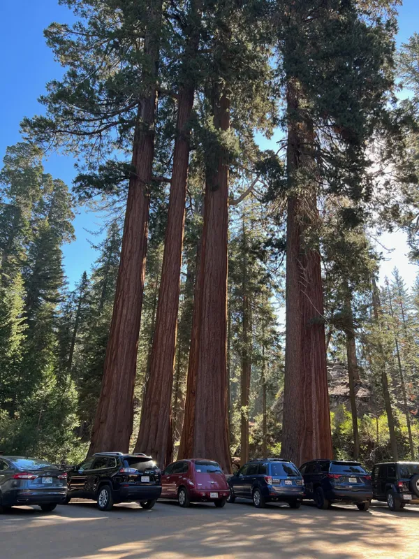 Kings Canyon National Park photo 99