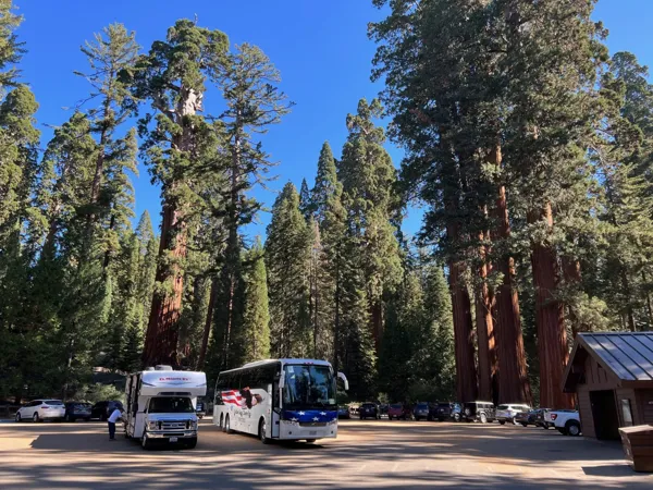 Kings Canyon National Park photo 100