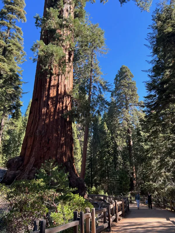 Kings Canyon National Park photo 102