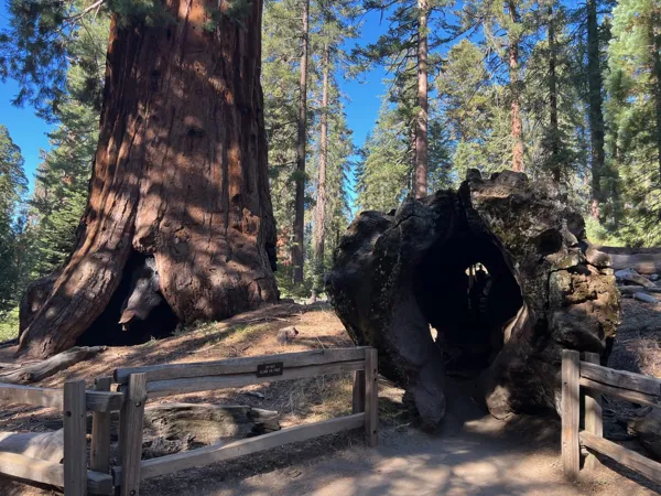 Kings Canyon National Park photo 103