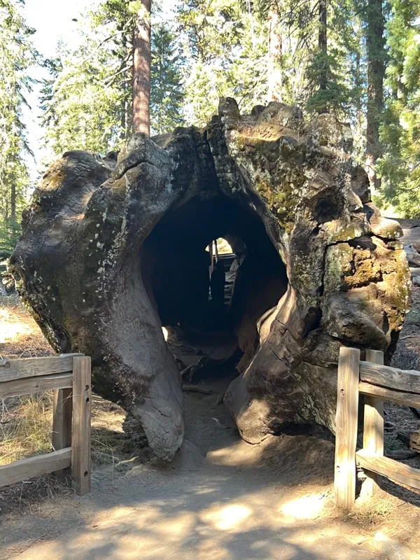 Kings Canyon National Park photo 105
