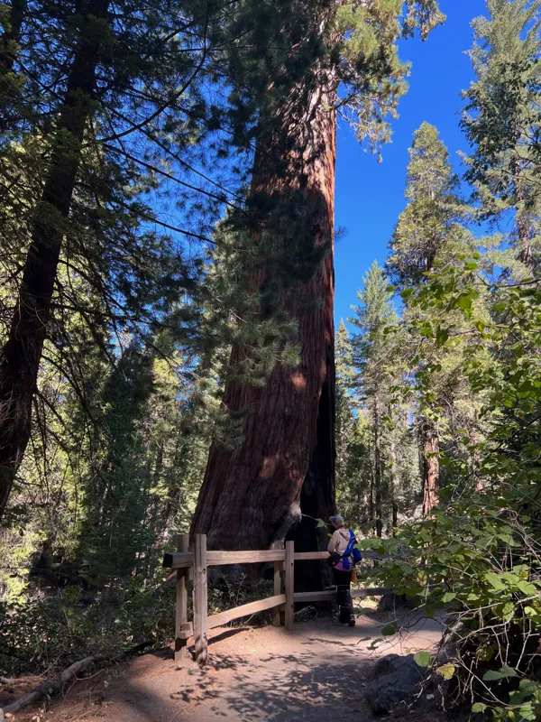 Kings Canyon National Park photo 106