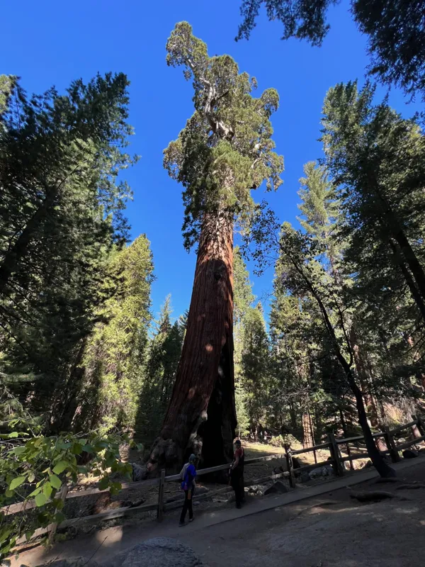 Kings Canyon National Park photo 107