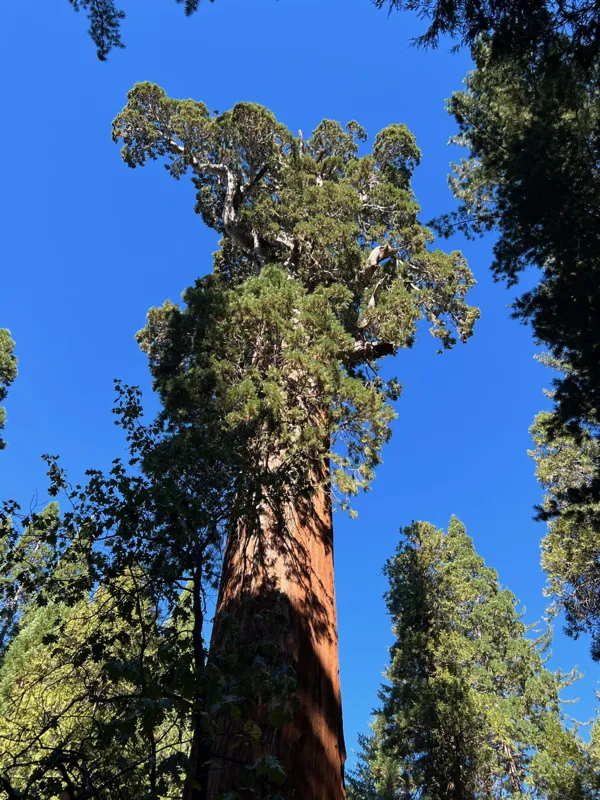 Kings Canyon National Park photo 108