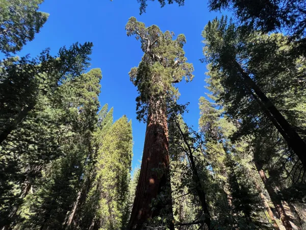 Kings Canyon National Park photo 109