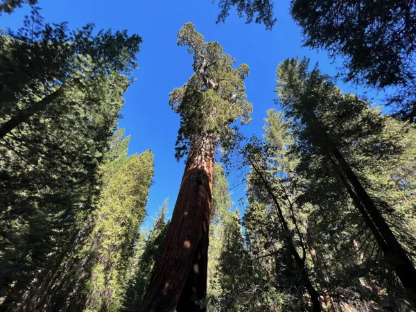 Kings Canyon National Park photo 110