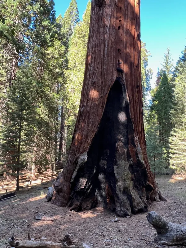 Kings Canyon National Park photo 111