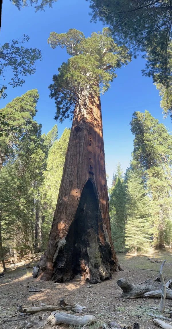 Kings Canyon National Park photo 112