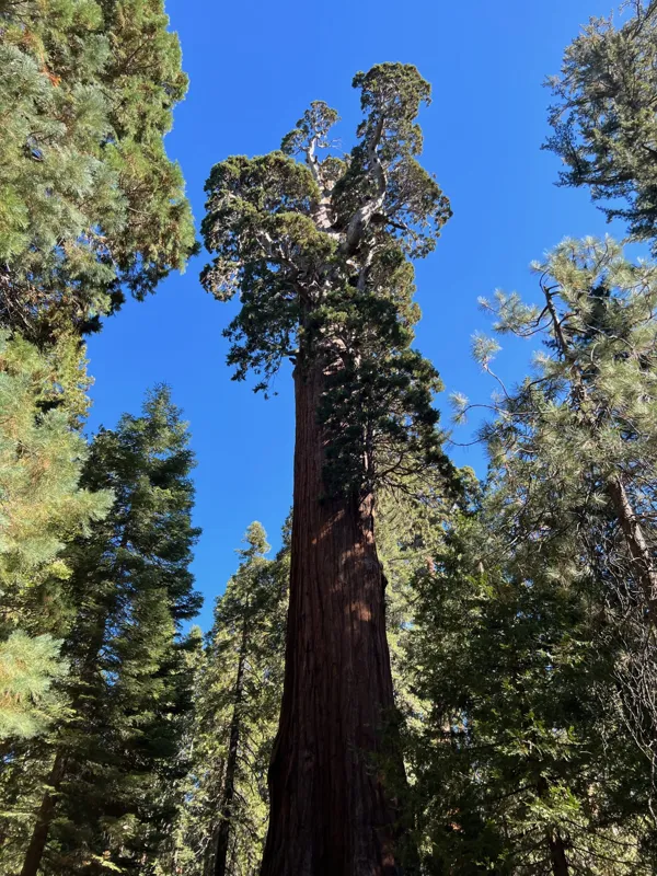 Kings Canyon National Park photo 114