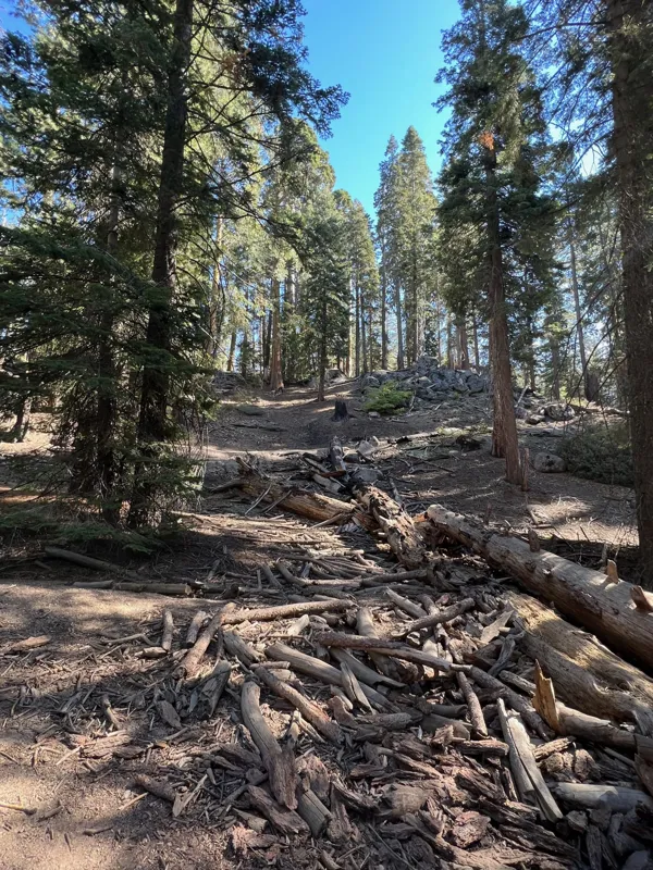 Kings Canyon National Park photo 116