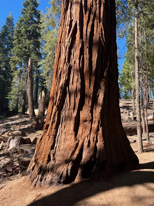 Kings Canyon National Park photo 117