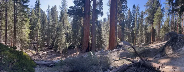 Kings Canyon National Park photo 119