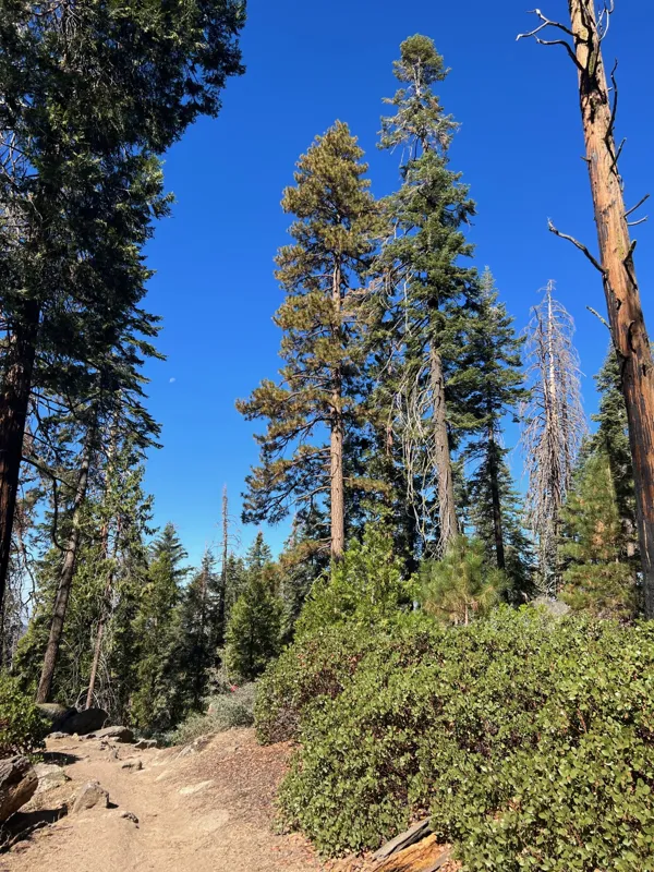 Kings Canyon National Park photo 120