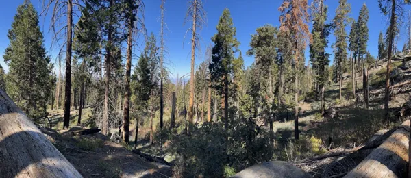 Kings Canyon National Park photo 126