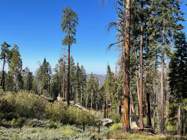 Kings Canyon National Park photo 129