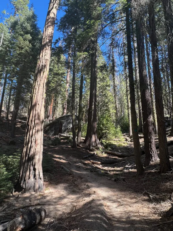 Kings Canyon National Park photo 137