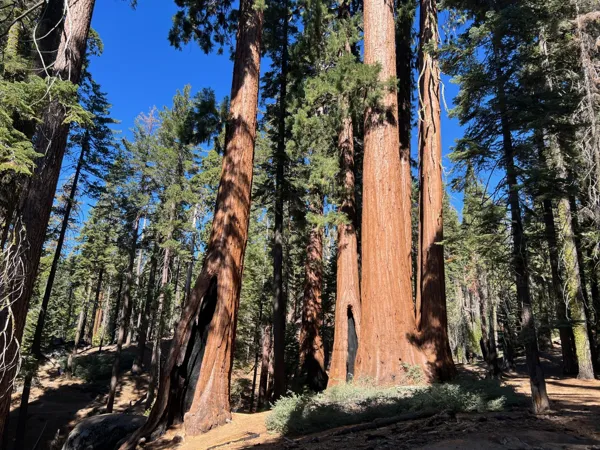 Kings Canyon National Park photo 138