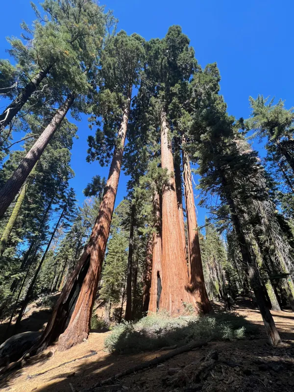 Kings Canyon National Park photo 139