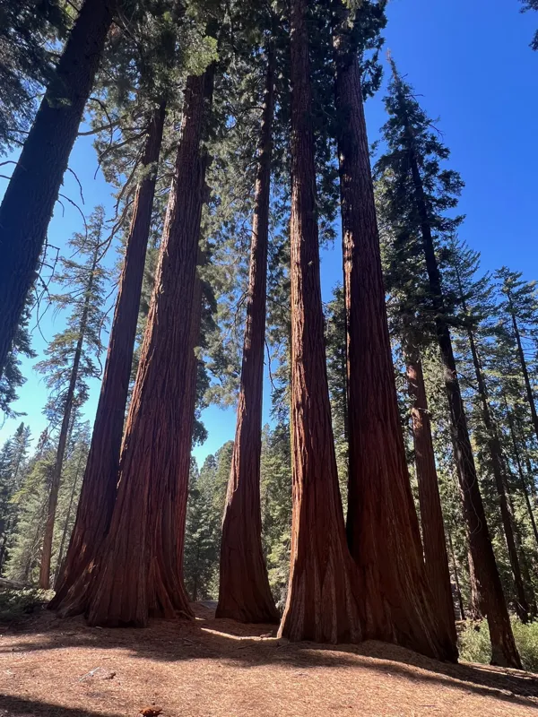 Kings Canyon National Park photo 140