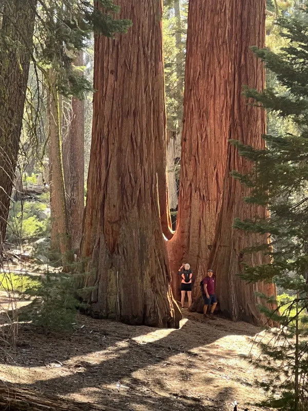 Kings Canyon National Park photo 145