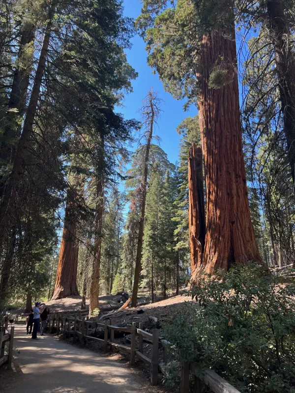 Kings Canyon National Park photo 146