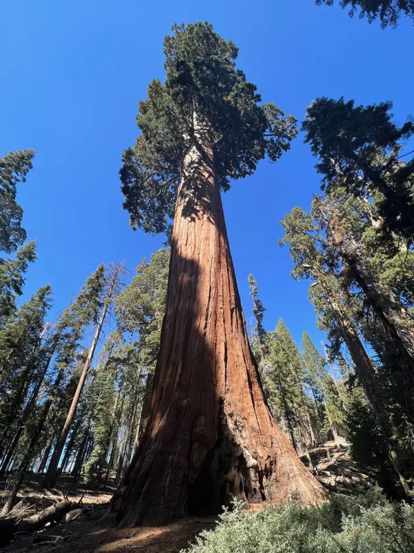 Kings Canyon National Park photo 149