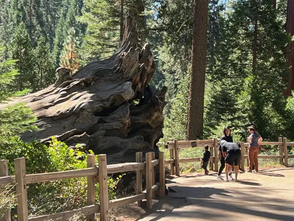 Kings Canyon National Park photo 151
