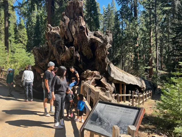 Kings Canyon National Park photo 152