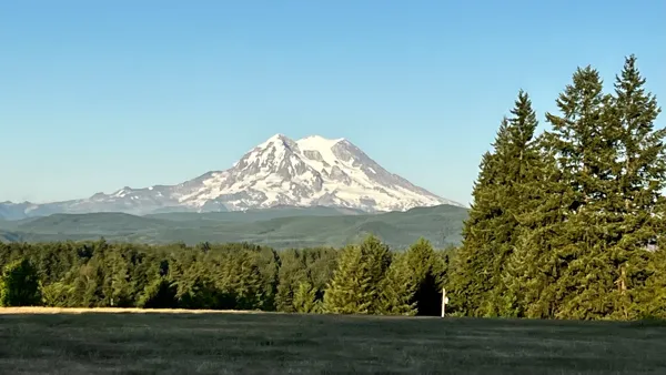 Mt. Rainier National Park photo 1