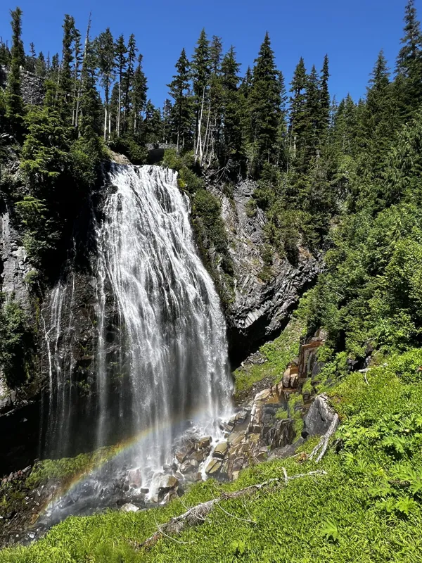 Mt. Rainier National Park photo 5