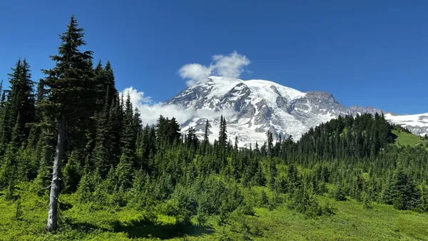 Mt. Rainier National Park photo 7