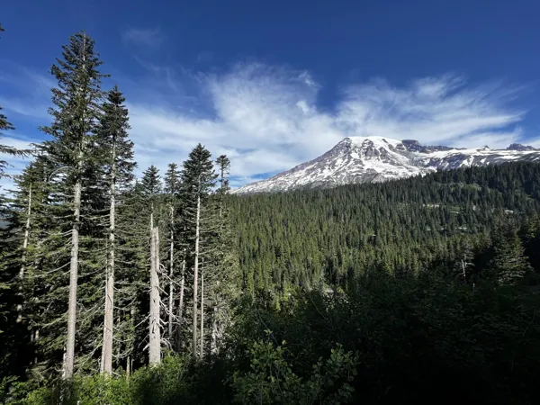 Mt. Rainier National Park photo 8