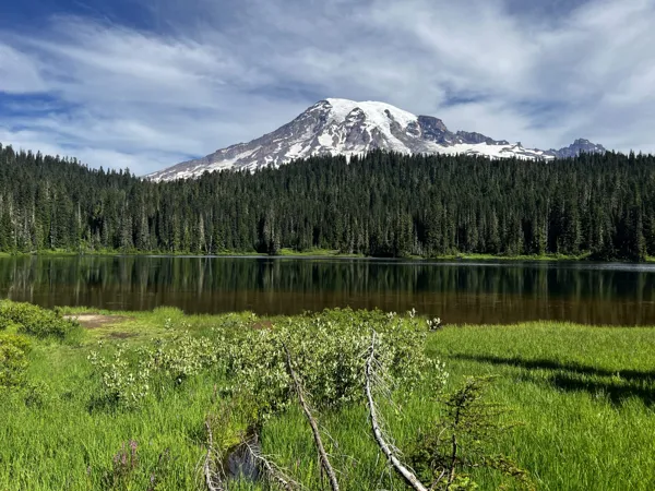 Mt. Rainier National Park photo 9