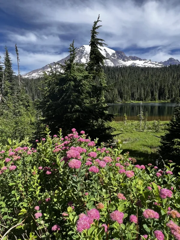 Mt. Rainier National Park photo 10
